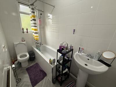 Picture 7